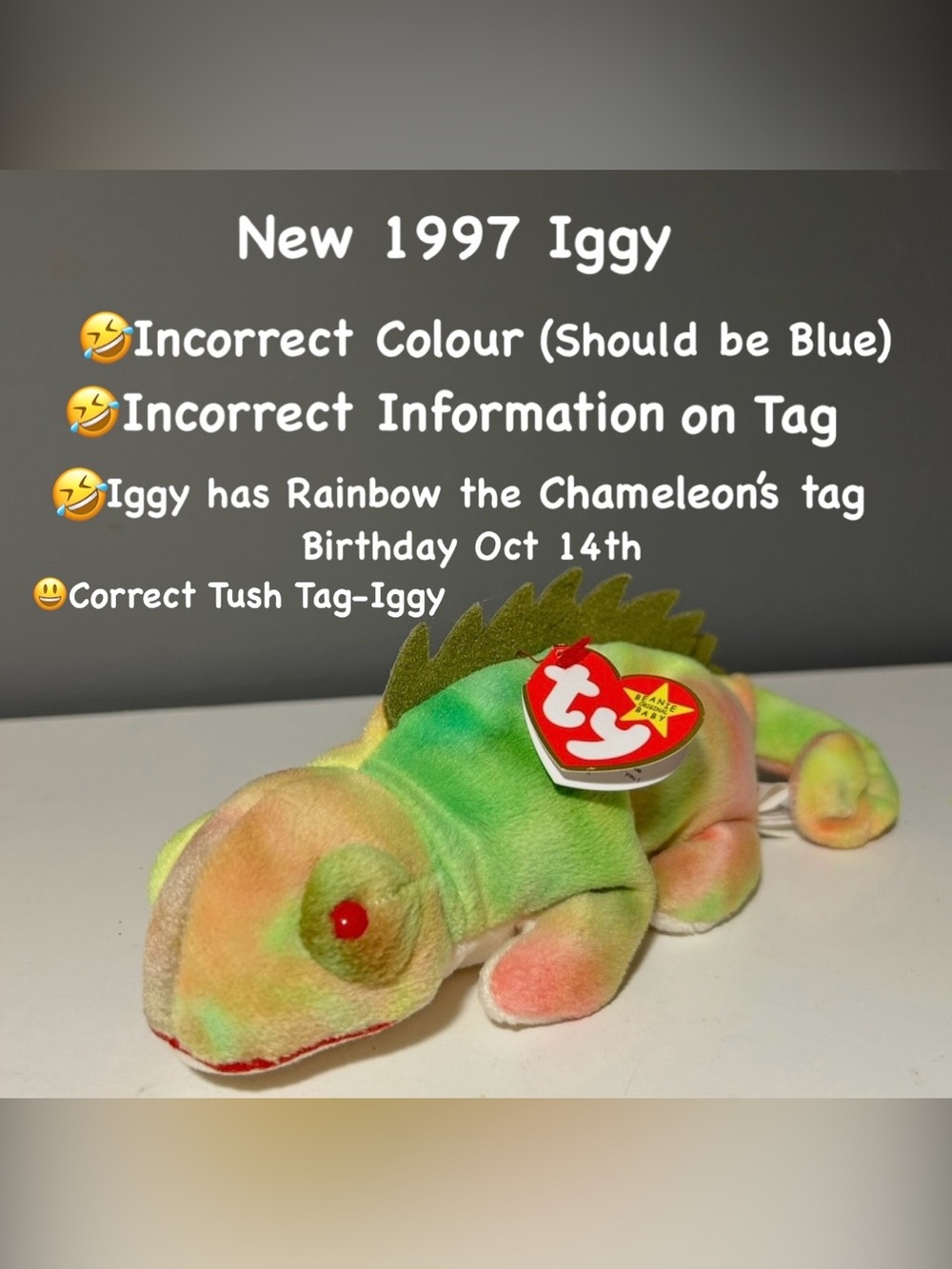 New Vintage Ty Iggy the Iguana,with Manufacturing Errors